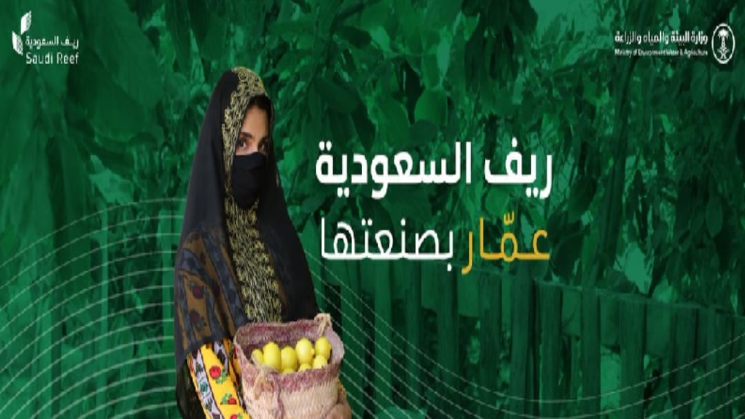 برنامج ريف لدعم النساء طلب الدعم في برنامج التنمية الريفية الزراعية المستدامة (ريف)