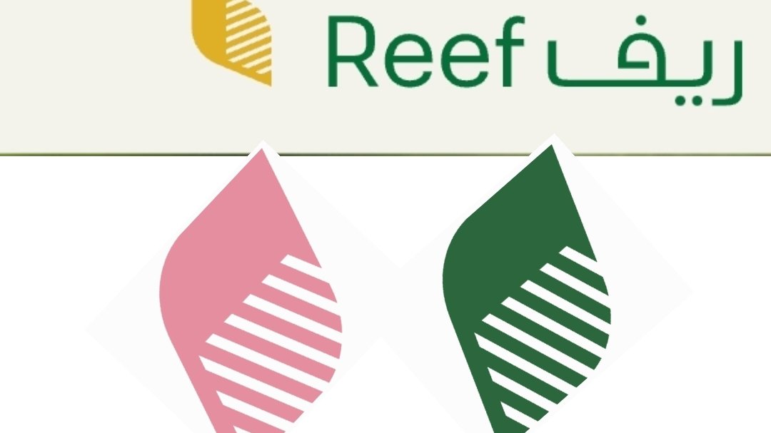 رابط تسجيل دخول ريف reef login لكافة الفئات في المملكة
