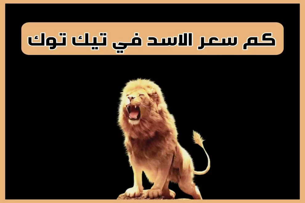 سعر اسد التيك توك في السعودية