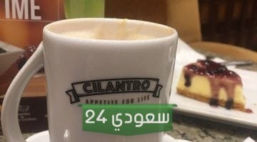 هل cilantro مقاطعة ام لا وأهم فروع سلسلة سيلينترو كافيه