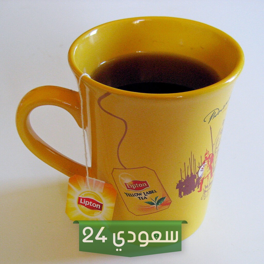 ليبتون هل تدعم إسرائيل
