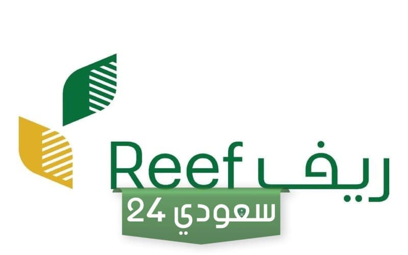 طريقة وخطوات استعلام عن دعم ريف برقم الهوية 1445 دورة ديسمبر 2023 منصة reef.gov.sa من وزارة البيئة والزراعة
