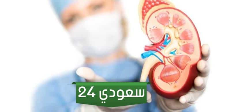 افضل دكتور مسالك بولية في جدة 1445