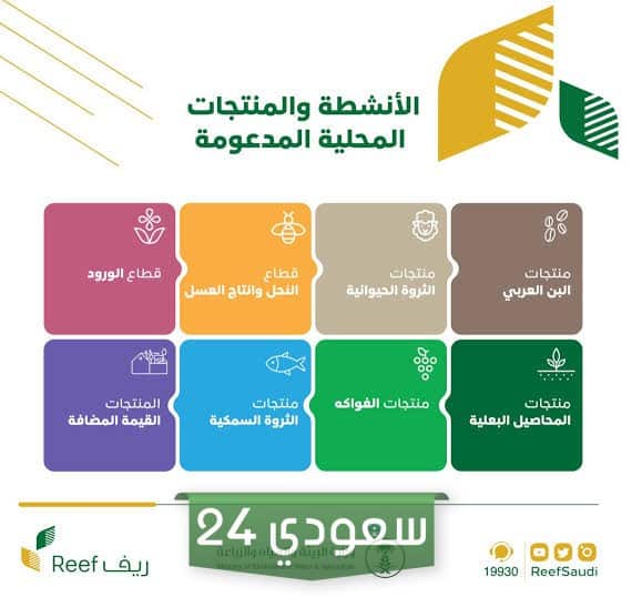 التقديم على دعم ريف