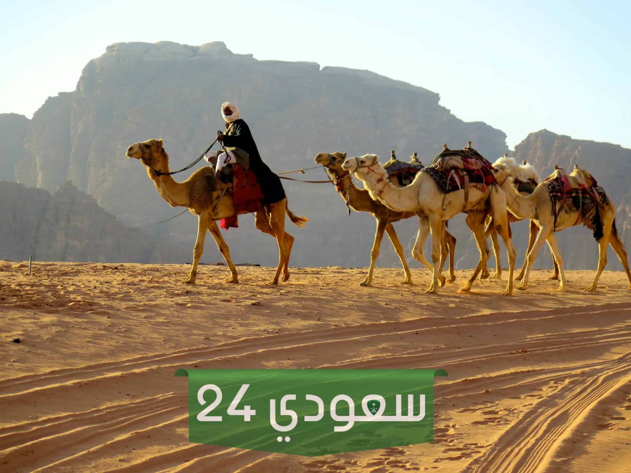 الجاسر وش يرجعون