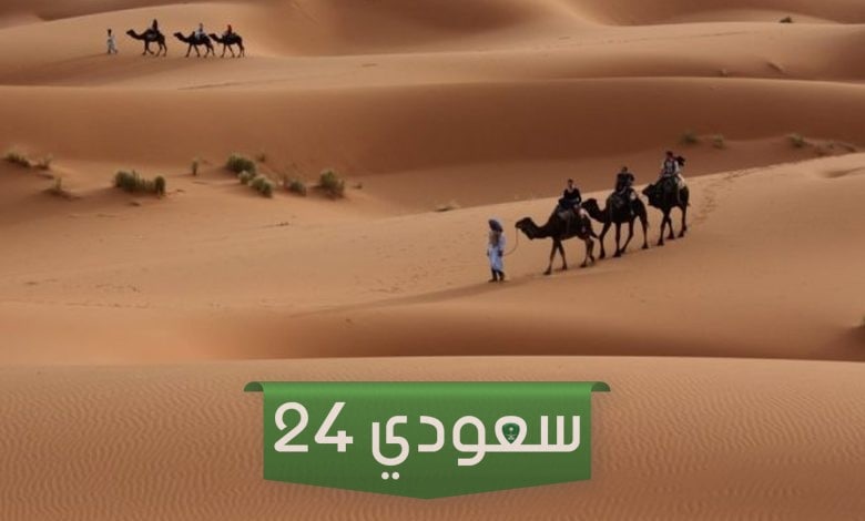 الجميلي وش يرجع