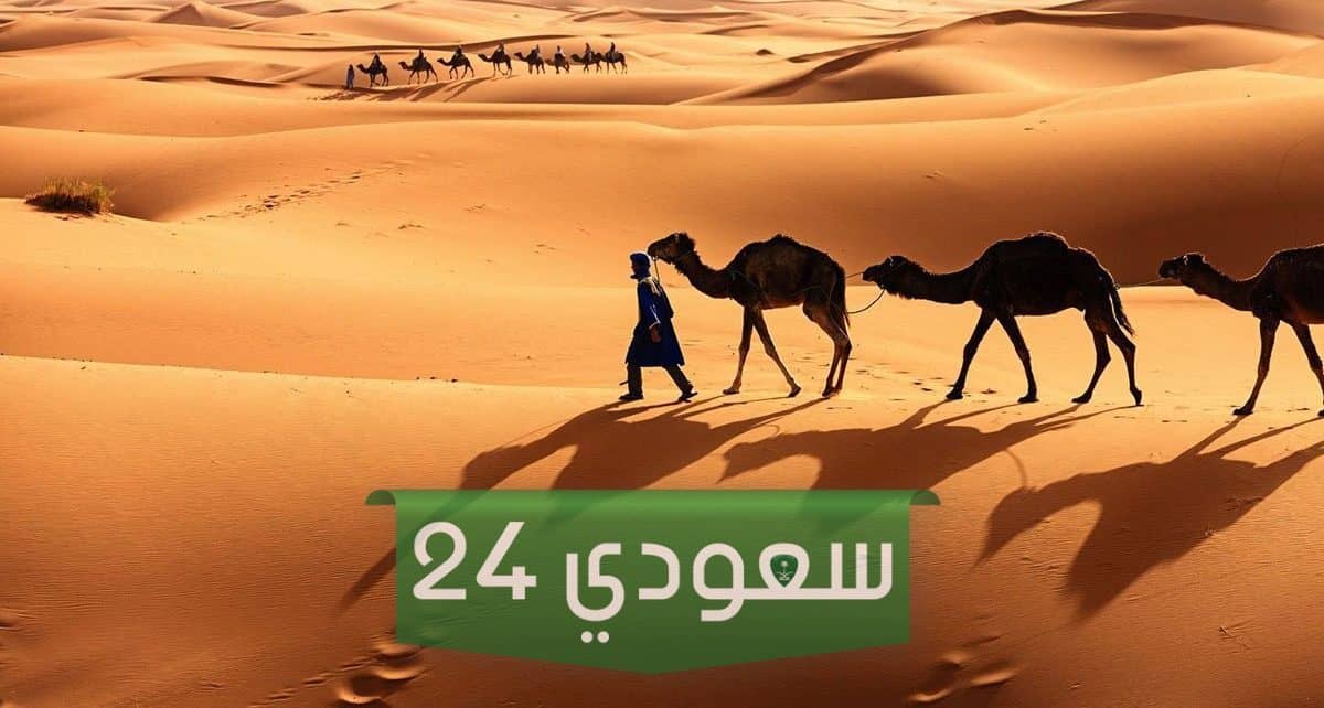 الدغيلبي وش يرجع وما هي فروع هذه العائلة