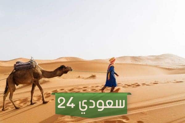 الرويلي وش يرجع