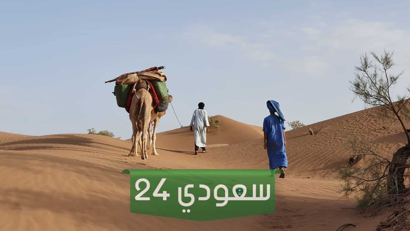 الشيباني وش يرجع