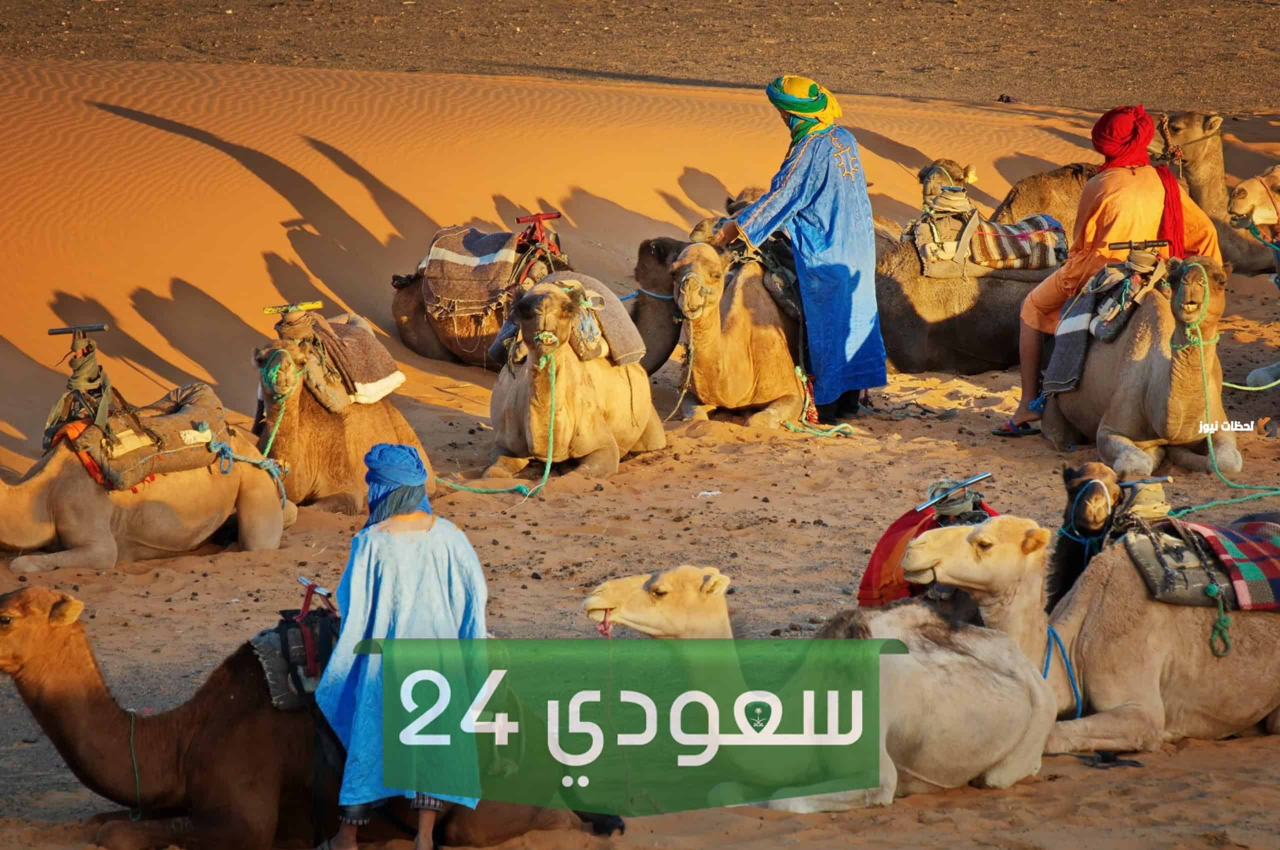 الغويري وش يرجعون