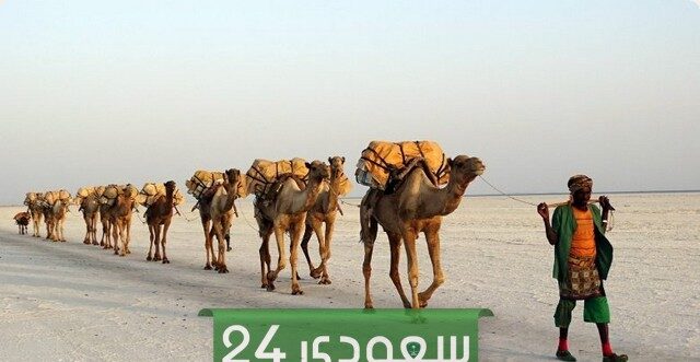القويز-وش-يرجع-هل-يعود-أصلهم-الى-بني-زيد