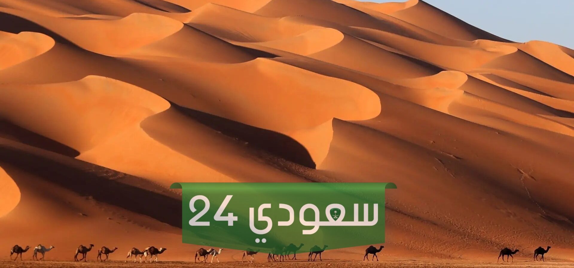 اللحيدان وش يرجع وشخصيات مشهورة من عائلة اللحيدان