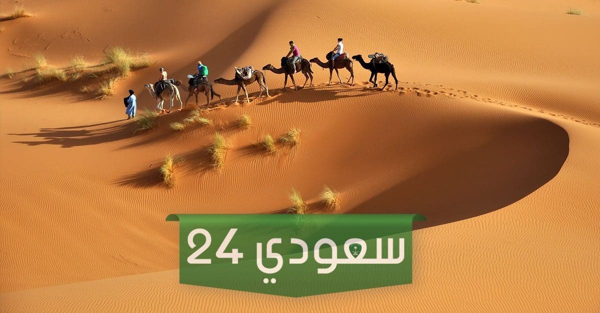 اليوبي وش يرجع وما فروع عائلة اليوبي