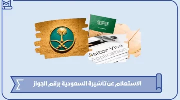 رابط الاستعلام عن تأشيرة السعودية برقم الجواز