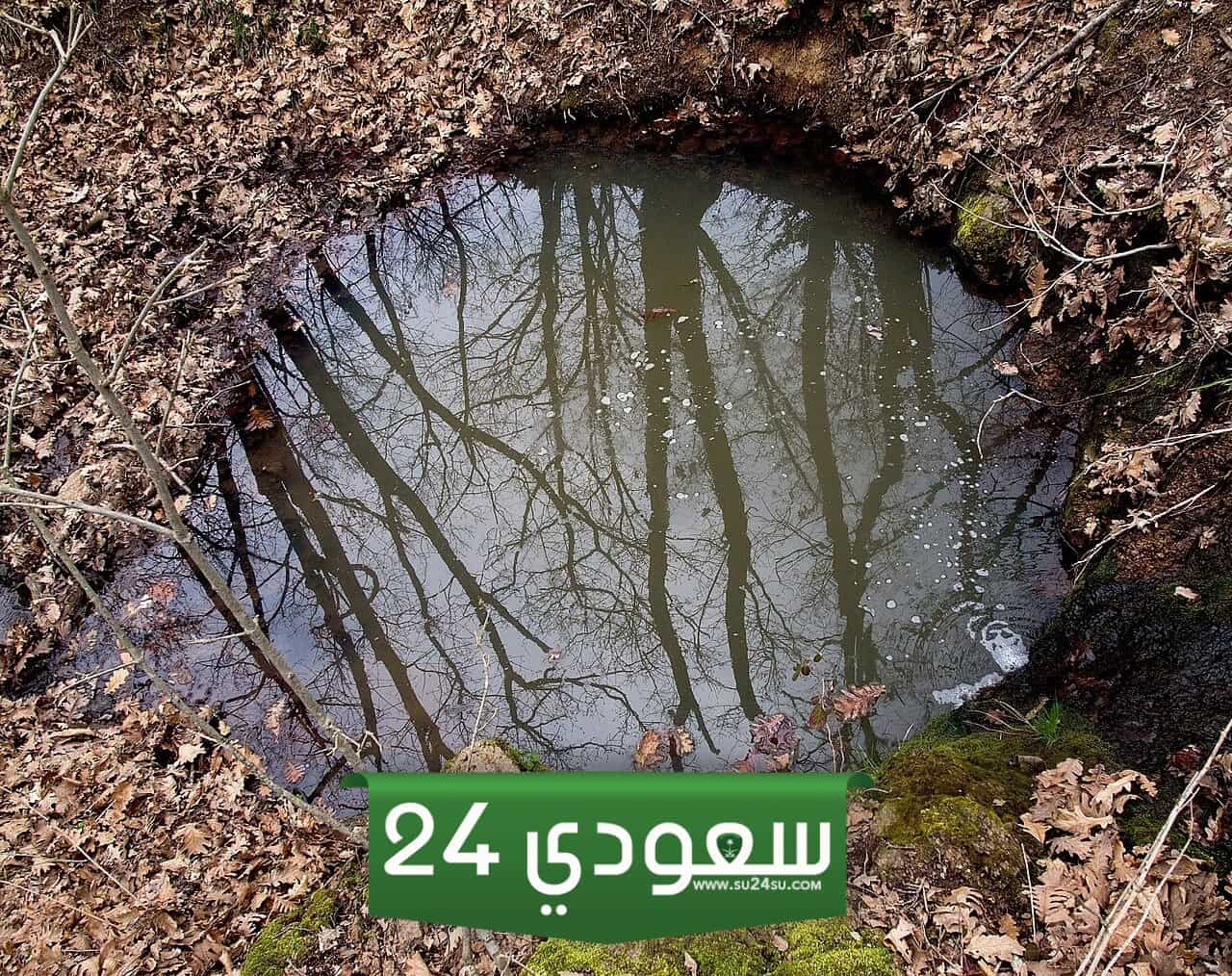ماهو الماء الراكد