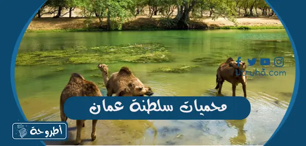 محميات سلطنة عمان وأنواع المحميات وأهمية المحميات في سلطنة عمان