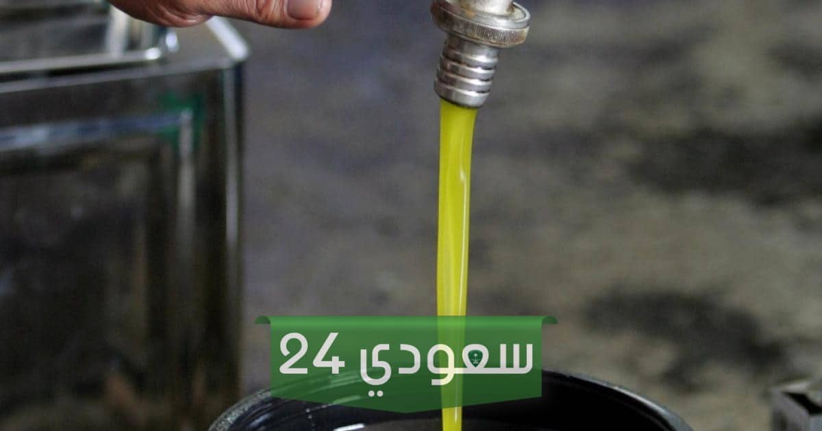 معاصر الزيتون في عمان