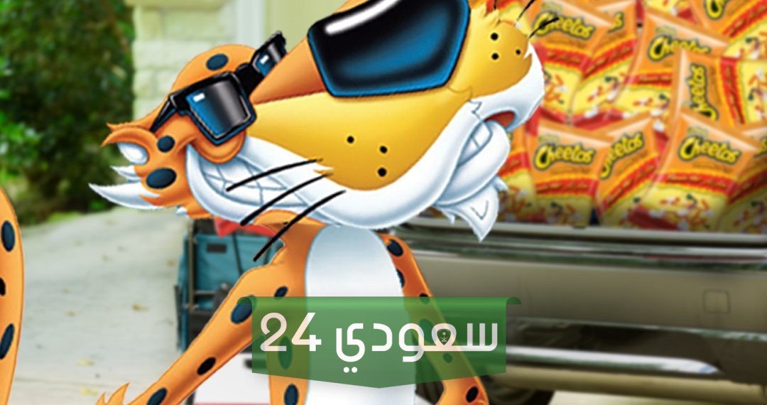 هل شيتوس مقاطعة أم لا