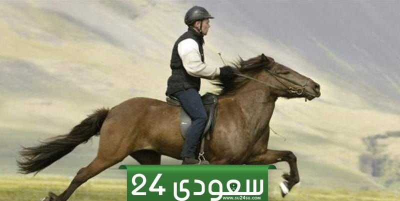 تفسير حلم ركوب الحصان في المنام وعلاقته بالرزق الكثير وتخطى الصعوبات