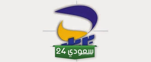 الرقم السري للحساب البريدي أون لاين