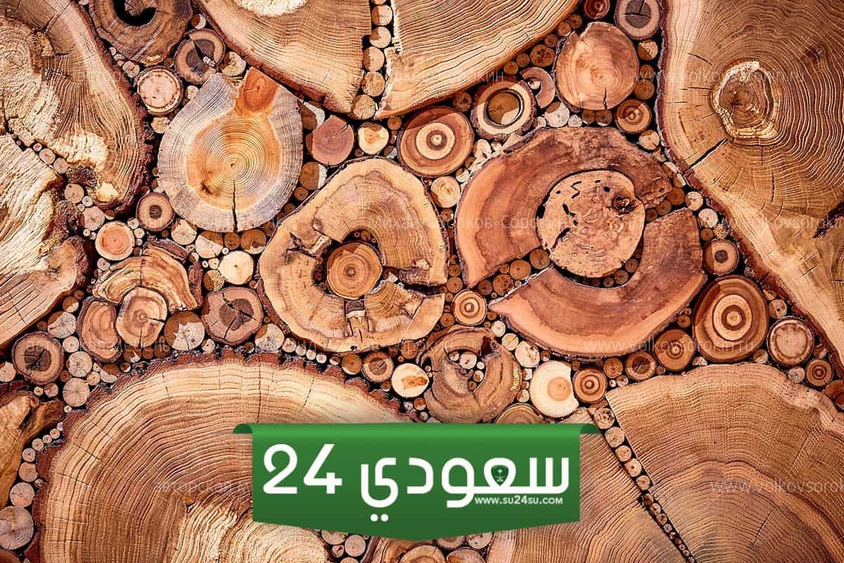 اللحاء والخشب الجديد