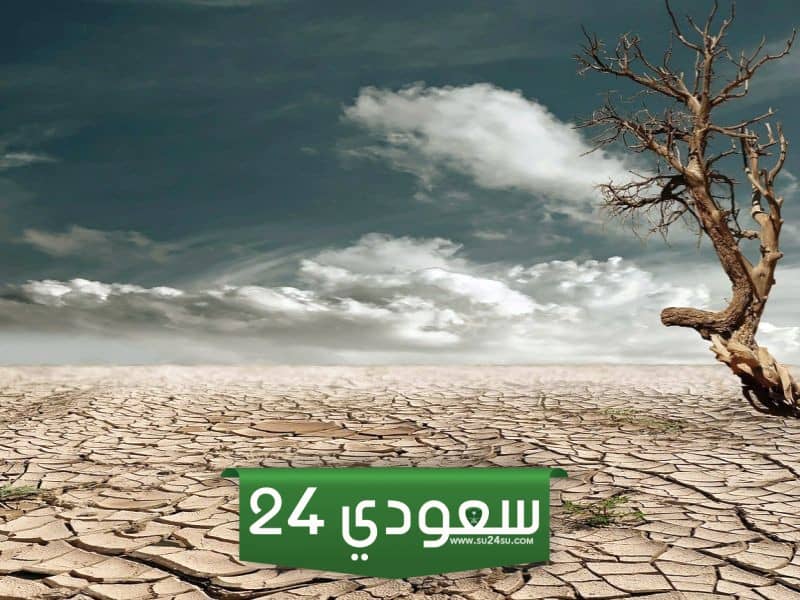 بحث عن التصحر