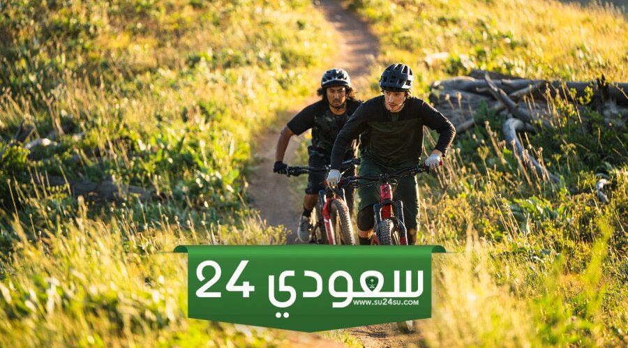 بحث عن تمثيل الحركة