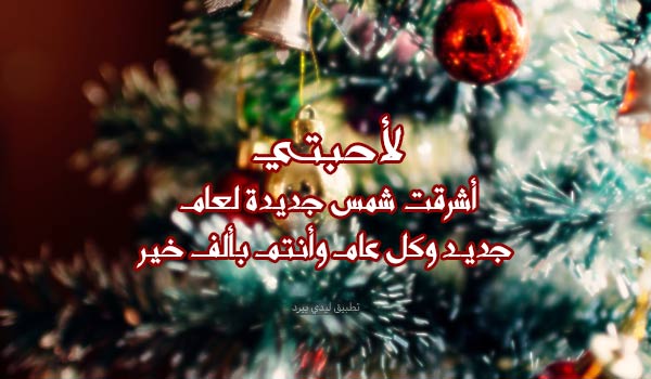 بطاقات تهنئة بالعام الجديد 5 بطاقات تهنئة بالعام الجديد 4