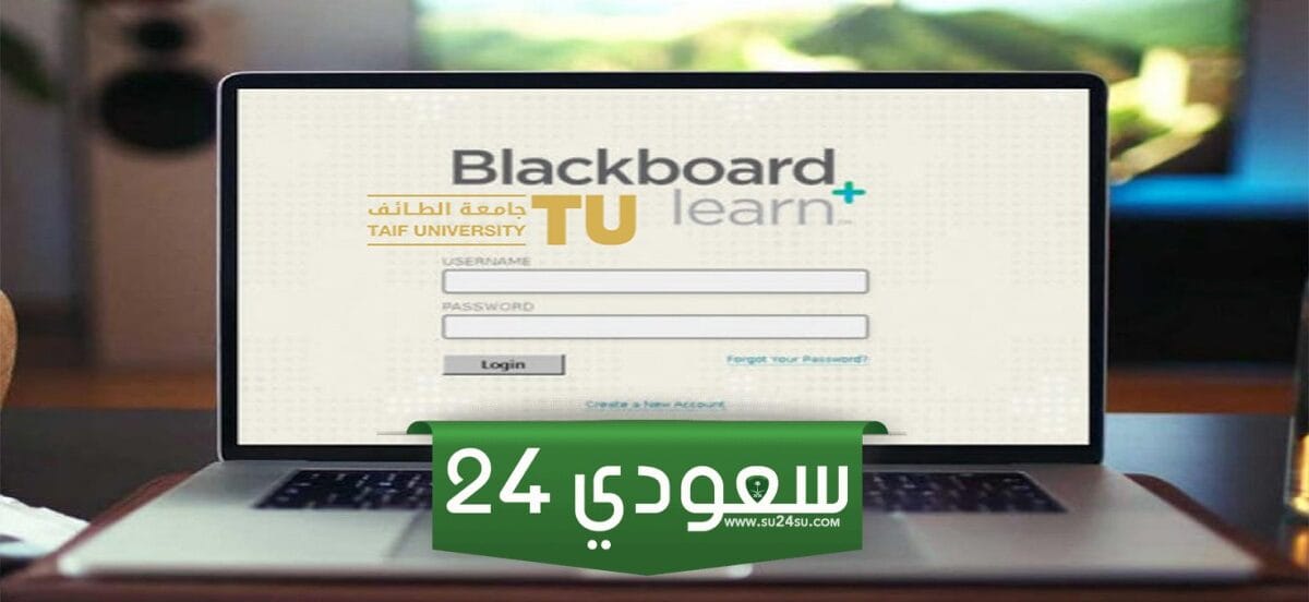 بلاك بورد جامعة القصيم lms.qu.edu.sa