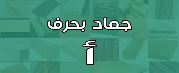 اسم الجماد يبدأ بحرف الألف