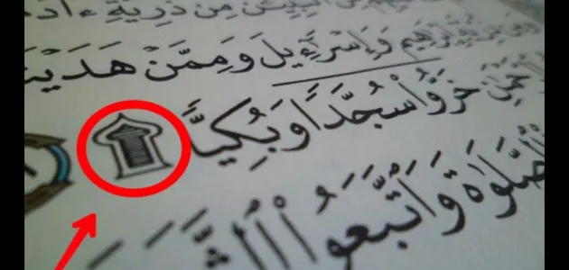 كم سجدة يحتوي عليها القرآن الكريم بين طياته وفي آياته المباركة