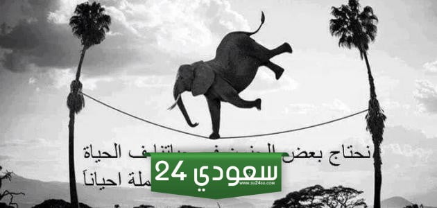 عبارات قوية المعنى وأجمل ما قيل من كلمات في الحياة