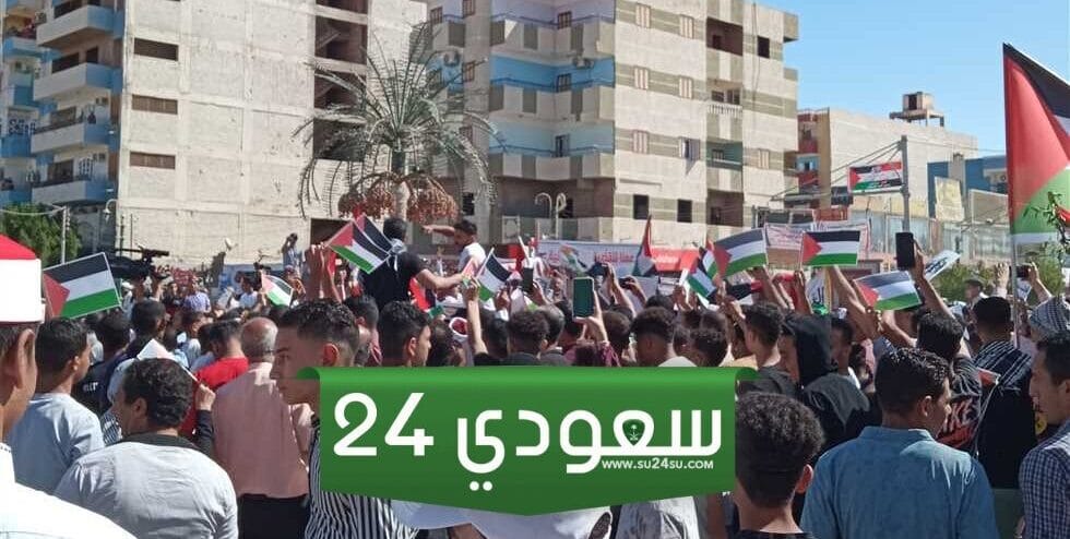 فلسطين لفلسطين وسيناء للمصريين بتعليم الوادي الجديد