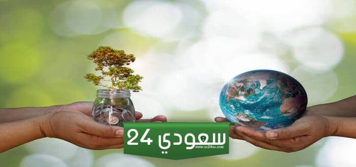 كيف يمكن للانسان حماية بيئته