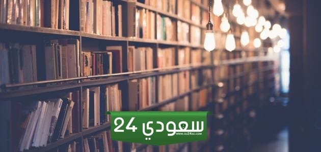 ما سبب إنشاء الدواوين - مقالة عربية