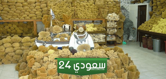 مادة الإسفنجين
