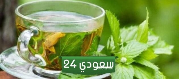 ماهو شاي أتاي ؟ وأصلة وفوائده