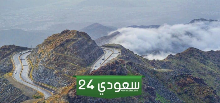 معلومات عن برحة القزاز