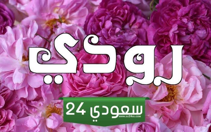 معنى اسم رودي