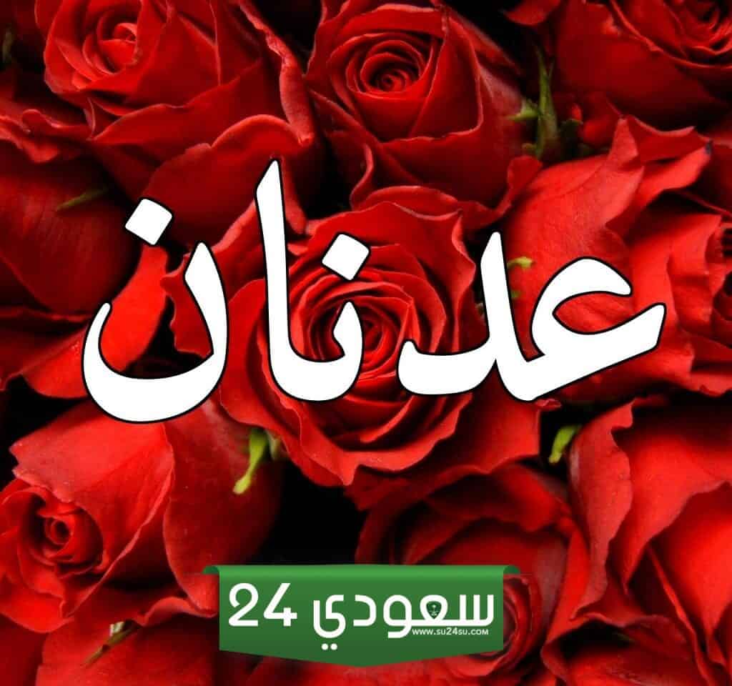 معنى اسم عدنان في القرآن