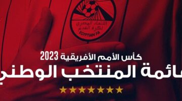 مفاجآت فيتوريا في كاس أمم إفريقيا.. الأهلي وبيراميدز نصيب الأسد.. وحارس الزمالك المظلوم الأكبر