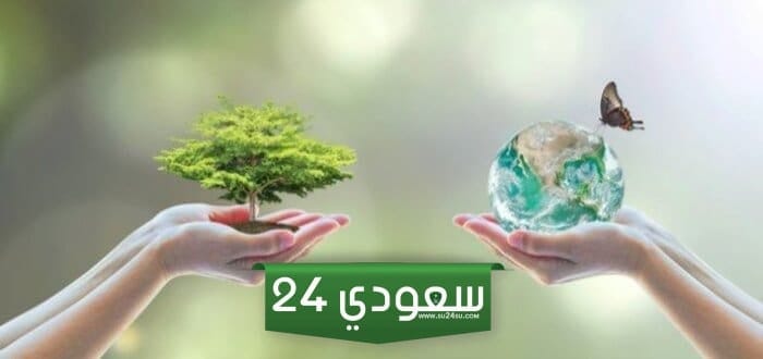 مفهوم المكان وتعامل الإنسان معه