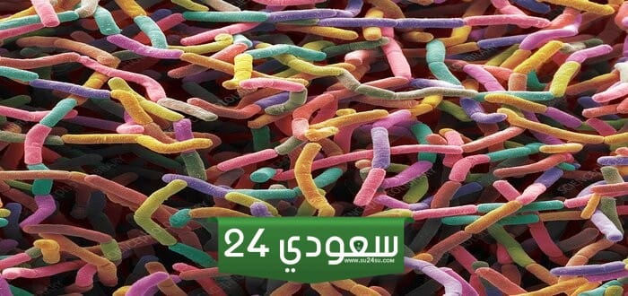هل تقوم المحللات بإعادة الفسفور