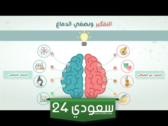 وظائف الدماغ الأيمن والأيسر