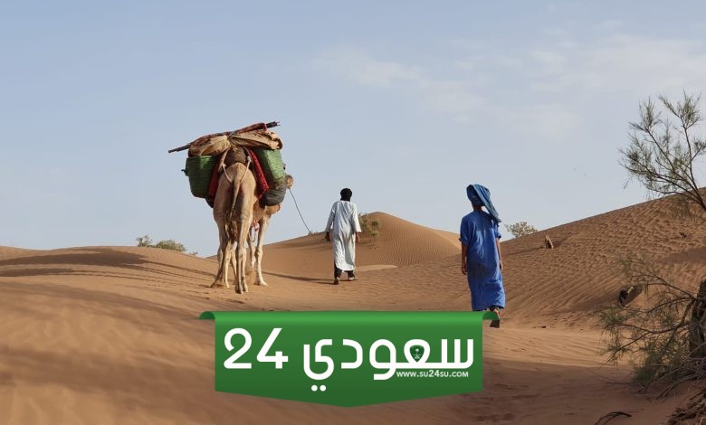 511 رمز اي قبيلة