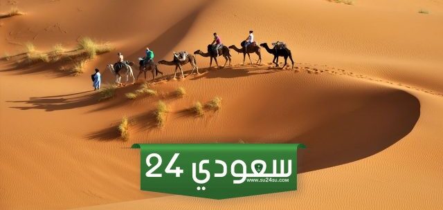 909 رمز اي قبيلة