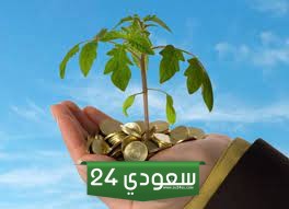 هل يجوز تغيير بيانات تراخيص المشروعات الصغيرة والمتوسطة؟