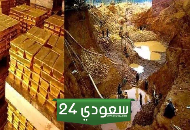 قلق كبير يعم السعودية والإمارات بعد اكتشاف كنوز المصرية
