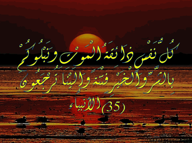 آيات عن الموت