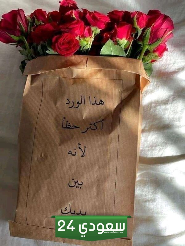 أقوى كلمة اعتذار للزوج